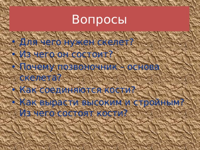 Вопросы Для чего нужен скелет? Из чего он состоит? Почему позвоночник – основа скелета? Как соединяются кости? Как вырасти высоким и стройным?  Из чего состоят кости? 