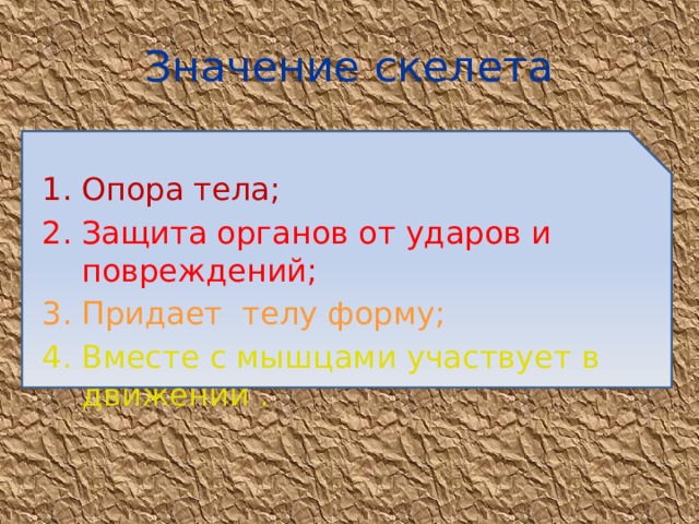 Значение скелета Опора тела; Защита органов от ударов и повреждений; Придает телу форму; Вместе с мышцами участвует в движении . 