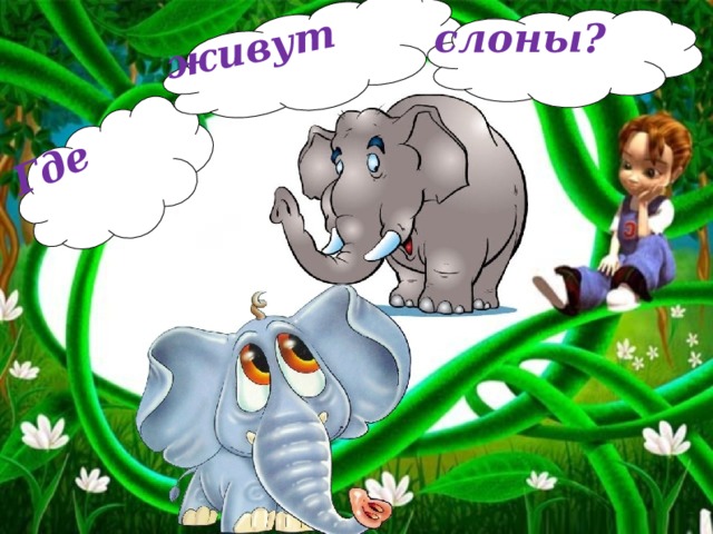 Где живут слоны?  