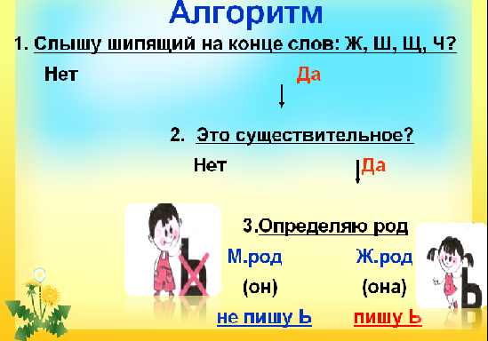 3 склонение шипящие