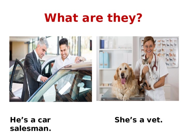 What are they? He’s a car salesman. She’s a vet. 