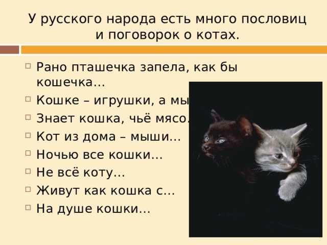 У русского народа есть много пословиц и поговорок о котах. Рано пташечка запела, как бы кошечка… Кошке – игрушки, а мышке - … Знает кошка, чьё мясо… Кот из дома – мыши… Ночью все кошки… Не всё коту… Живут как кошка с… На душе кошки… 