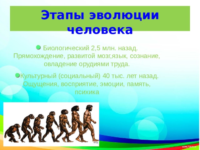 Свободное развитие человека. Ступени развития человека. Эволюция прямохождения человека. Составляющие эволюции человека. Этапы прямохождения человека.