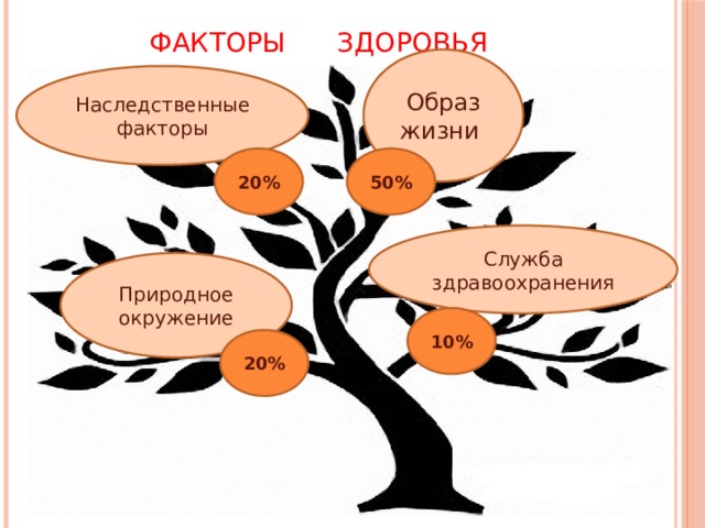 Факторы сохранения здоровья