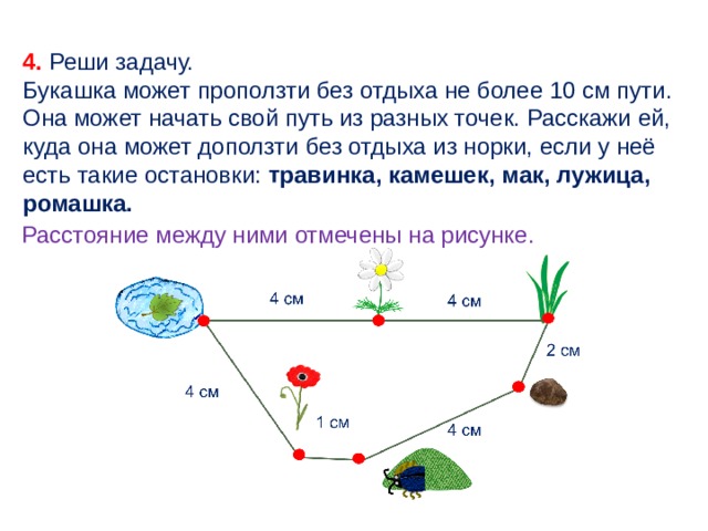 4. Реши задачу. Букашка может проползти без отдыха не более 10 см пути. Она может начать свой путь из разных точек. Расскажи ей, куда она может доползти без отдыха из норки, если у неё есть такие остановки: травинка, камешек, мак, лужица, ромашка. Расстояние между ними отмечены на рисунке. 