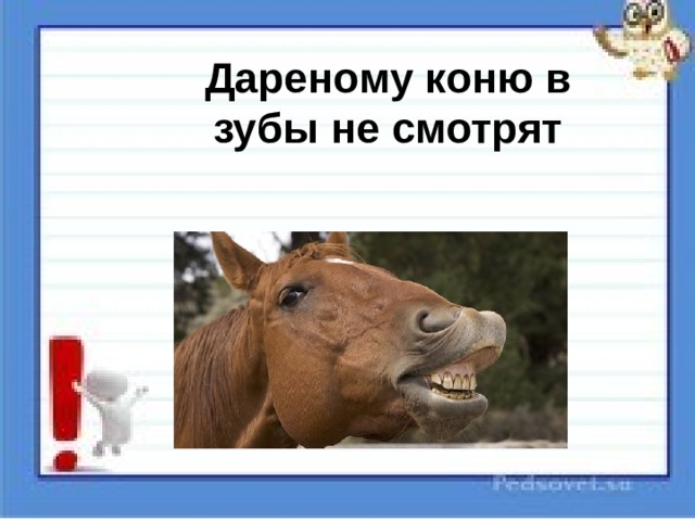 Пословица дареному коню в зубы не смотрят. Дарёному коню в зубы не смотрят. Пословица дареному коню в зубы. Зуб дареного коня. Дарёному коню пословица.