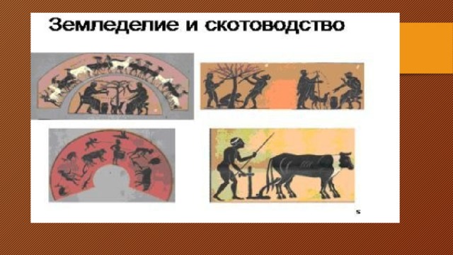 Занятия населения древней греции. Занятия древних греков древняя Греция. Основные занятия древней Греции. Основные занятия древних греки.