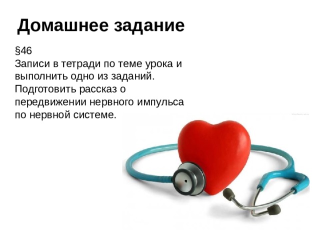 Домашнее задание § 46 Записи в тетради по теме урока и выполнить одно из заданий. Подготовить рассказ о передвижении нервного импульса по нервной системе.  