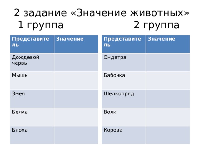 2 задание «Значение животных»  1 группа 2 группа Представитель Представитель Значение Дождевой червь Значение Ондатра Мышь Бабочка Змея Шелкопряд Белка Волк Блоха Корова  