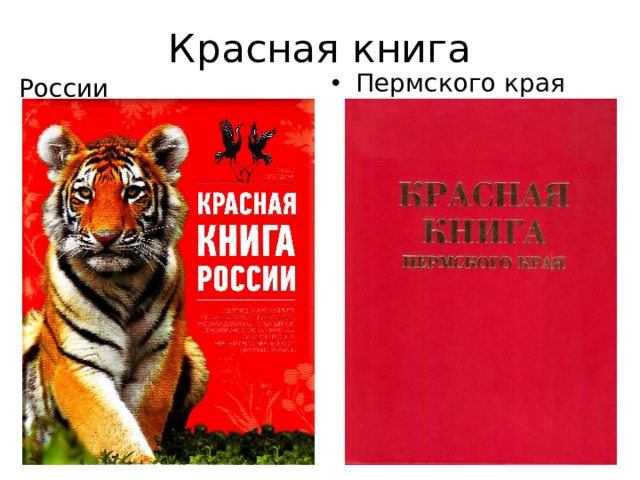 Красная книга Пермского края России 