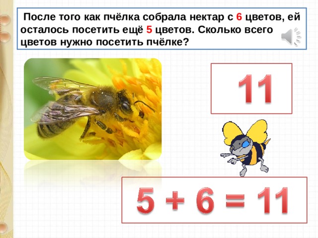 После того как пчёлка собрала нектар с 6 цветов, ей осталось посетить ещё 5 цветов. Сколько всего цветов нужно посетить пчёлке? 