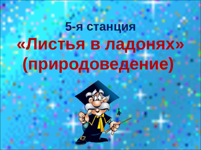 5-я станция «Листья в ладонях» (природоведение) 