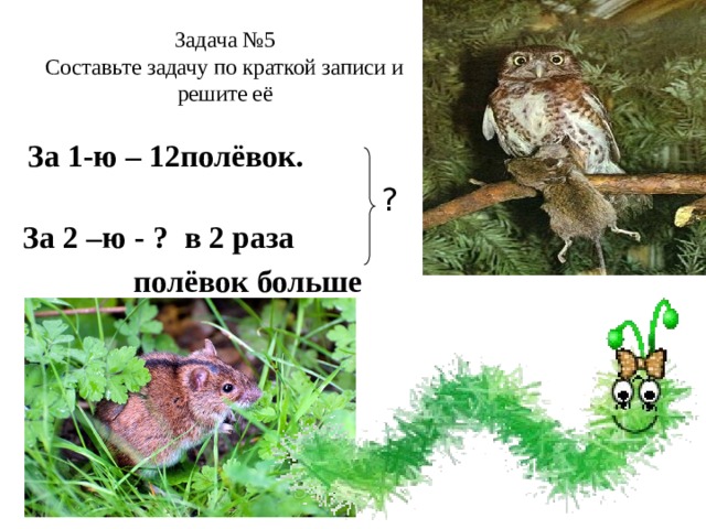 Задача №5  Составьте задачу по краткой записи и решите её  За 1-ю – 12полёвок.  За 2 –ю - ? в 2 раза  полёвок больше ? 