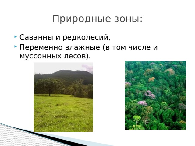 План описания природной зоны саванны и редколесья 7 класс