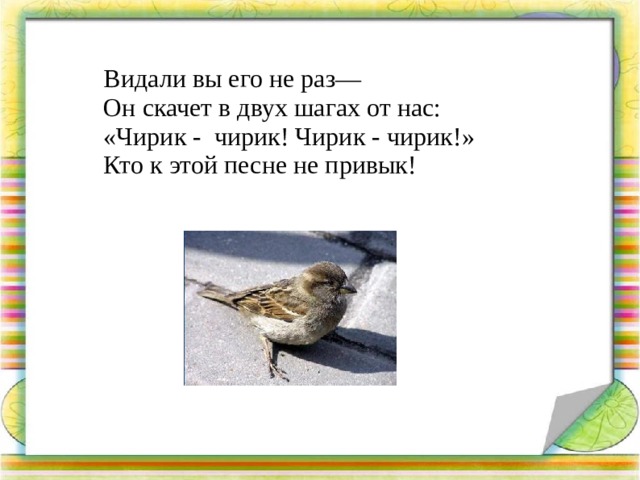 Песня чик чирик воробей. Чирик чирик. Кормушки Чик чирик. Чик чирик кормушка для птиц. Песенка чирик.