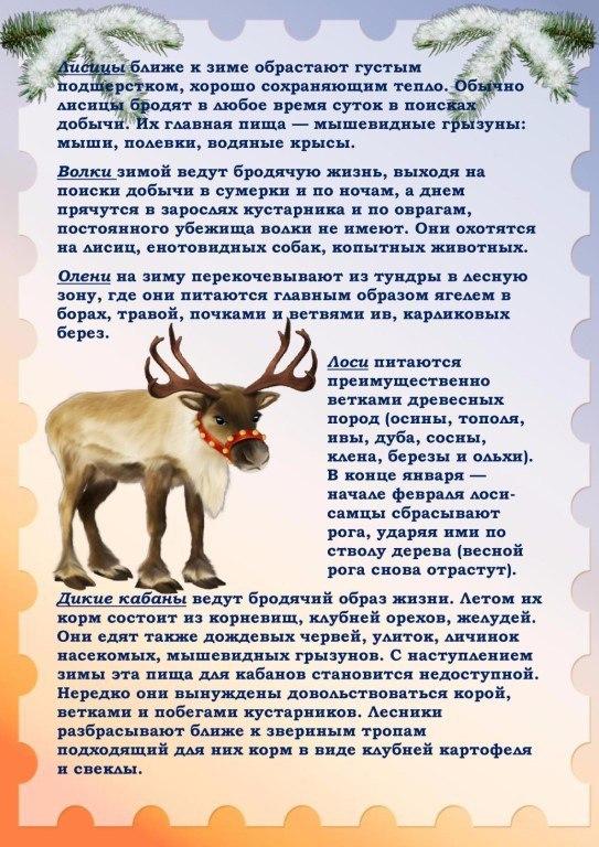 Проект в средней группе животные зимой Консультация для родителей в подготовительной группе