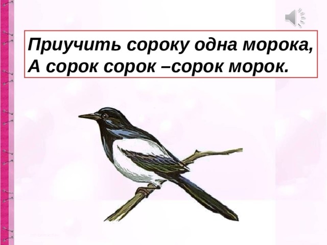 Сорок ответить. Приучить сороку одна морока а сорок сорок. Скороговорка сорок сорок сорок морок. Приучить сороку. Приучить сороку одна.