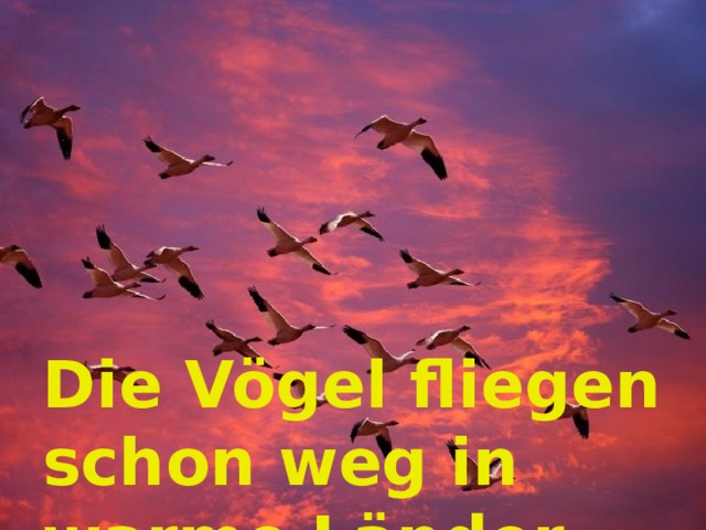 Die Vögel fliegen schon weg in warme Länder 