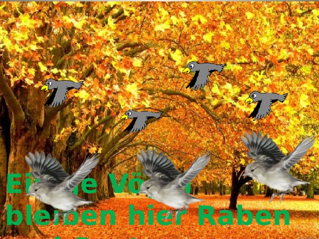 Einige Vögel bleiben hier Raben und Spatzen 