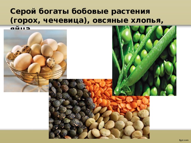 Серой богаты бобовые растения  (горох, чечевица), овсяные хлопья, яйца 