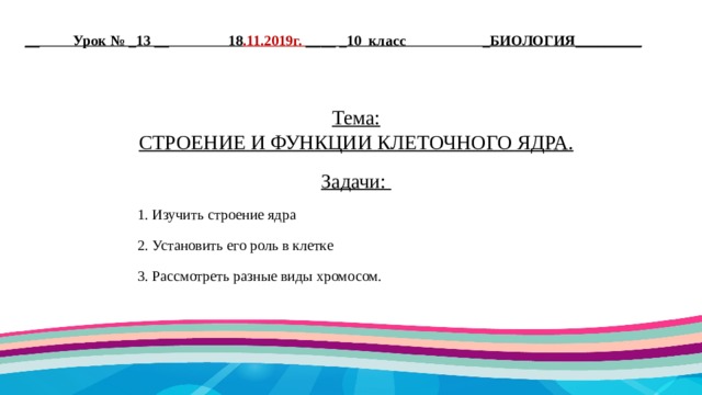 __ Урок № _13 __ 18 .11.2019г. ____ _10 класс _БИОЛОГИЯ_________    Тема: СТРОЕНИЕ И ФУНКЦИИ КЛЕТОЧНОГО ЯДРА.   Задачи: 1. Изучить строение ядра 2. Установить его роль в клетке 3. Рассмотреть разные виды хромосом. 