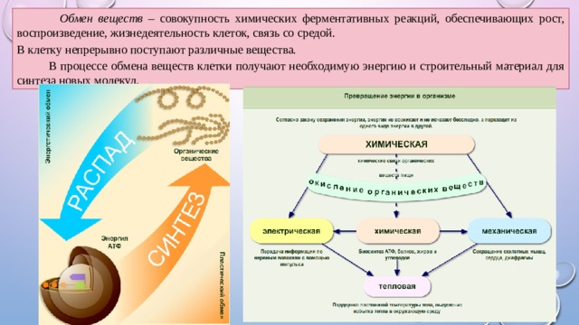 Обеспечивает рост. Обмен веществ это совокупность химических реакций обеспечивающих. Энергообеспечение клетки. Обеспечивает клетку необходимыми для жизни и роста веществами. Вещества необходимые для жизнедеятельности клеток поступают.