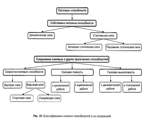 Зарисовать схему классификация силовых способностей. Средства воспитания скоростно-силовых способностей. 1. Методика воспитания собственно-силовых способностей. Состав средств воспитания силовых способностей.