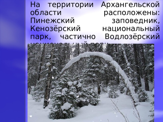 На территории Архангельской области расположены: Пинежский заповедник, Кенозёрский национальный парк , частично Водлозёрский национальный парк. 