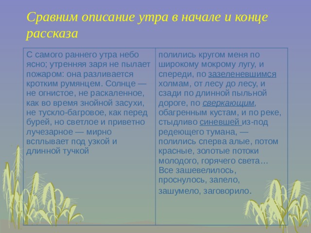 Сравним описание утра в начале и конце рассказа С самого раннего утра небо ясно; утренняя заря не пылает пожаром: она разливается кротким румянцем. Солнце — не огнистое, не раскаленное, как во время знойной засухи, не тускло-багровое, как перед бурей, но светлое и приветно лучезарное — мирно всплывает под узкой и длинной тучкой  полились кругом меня по широкому мокрому лугу, и спереди, по зазеленевшимся холмам, от лесу до лесу, и сзади по длинной пыльной дороге, по сверкающим , обагренным кустам, и по реке, стыдливо синевшей из-под редеющего тумана, — полились сперва алые, потом красные, золотые потоки молодого, горячего света… Все зашевелилось, проснулось, запело, зашумело, заговорило . 