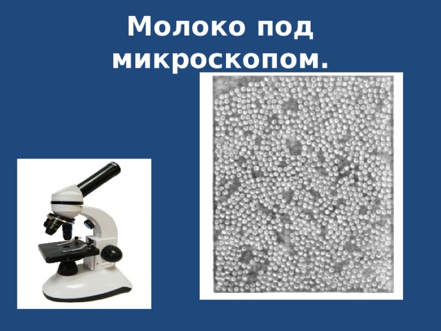 Молоко под микроскопом. 