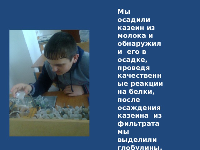 Мы осадили казеин из молока и обнаружили его в осадке, проведя качественные реакции на белки, после осаждения казеина из фильтрата мы выделили глобулины, и доказали наличие белка на фильтре 