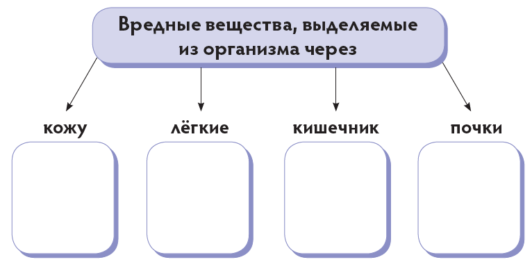 Систем четыре. Как работает выделительная система 4 класс Естествознание. Тест по теме как работает выделительная система. Как работает выделительная система 4 класс Естествознание карточки. Тест для класса по естествознанию выделительная система.