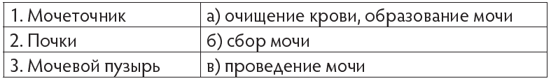 Что такое выделительная система человека 4 класс. Смотреть фото Что такое выделительная система человека 4 класс. Смотреть картинку Что такое выделительная система человека 4 класс. Картинка про Что такое выделительная система человека 4 класс. Фото Что такое выделительная система человека 4 класс