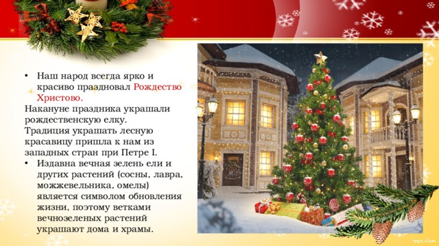 Наш народ всегда ярко и красиво праздновал Рождество Христово. Накануне праздника украшали рождественскую елку. Традиция украшать лесную красавицу пришла к нам из западных стран при Петре I. Издавна вечная зелень ели и других растений (сосны, лавра, можжевельника, омелы) является символом обновления жизни, поэтому ветками вечнозеленых растений украшают дома и храмы. 