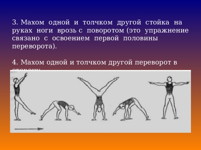 Где расположены рецепторы позволяющие изображенной на рисунке гимнастке выполнять данное упражнение