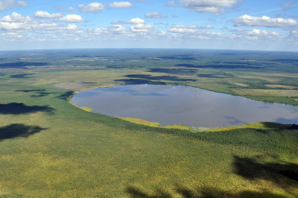 Озеро какой водоем. Болотистое озеро. Болотное озеро. Озеро болото. Реки озера болота России.