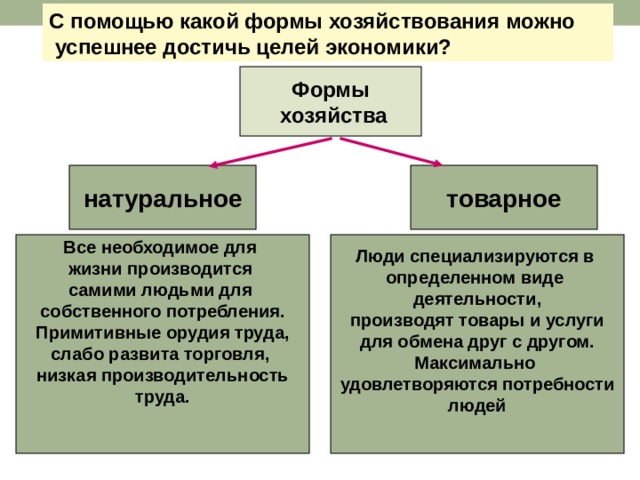 Схема формы хозяйства