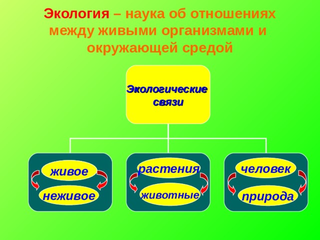 Наука между живыми. Экологические связи живое неживое. Экологические связи. Экологические связи растений. Экологические связи 3 класс.