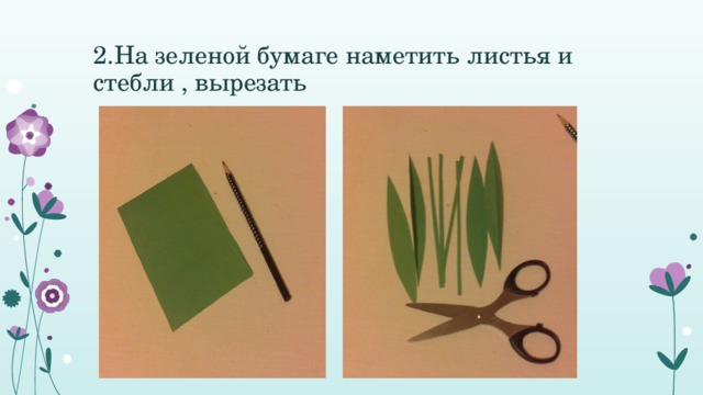 2.На зеленой бумаге наметить листья и стебли , вырезать 