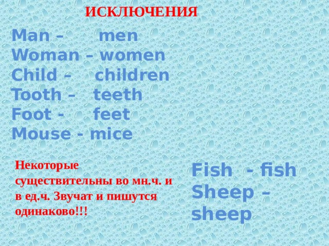 Fish множественное. Man men woman women child children Tooth Teeth foot feet Mouse Mice Sheep Sheep Fish Fish. Foot множественное число в английском языке. Fish во множественном числе на английском. Sheep множественное число в английском языке.