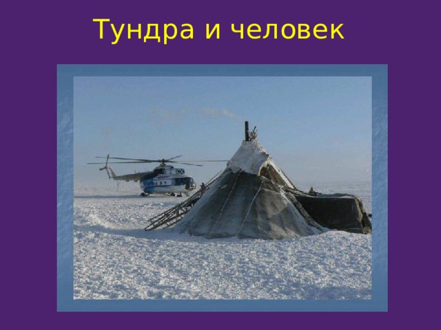 Тундра и человек 