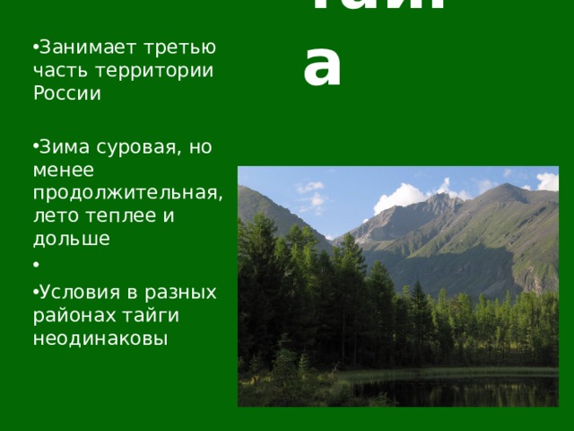 тайга Занимает третью часть территории России Зима суровая, но менее продолжительная, лето теплее и дольше Условия в разных районах тайги неодинаковы 
