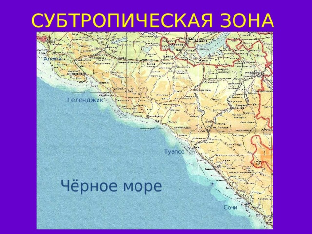 СУБТРОПИЧЕСКАЯ ЗОНА Анапа Геленджик Туапсе Чёрное море Сочи 