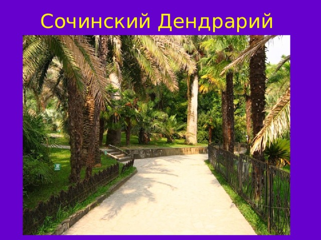 Презентация субтропики 4 класс окружающий мир