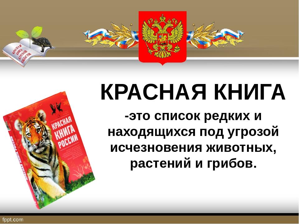 Проект красная книга окружающий мир образец. Проект 2 кл красная книга по окружающему миру. Проект красная книга 2 класс школа России. Проект красная книга 2 класс. Окружающий мир 2 проект красная книга.