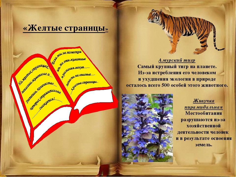 Проект по красной книге