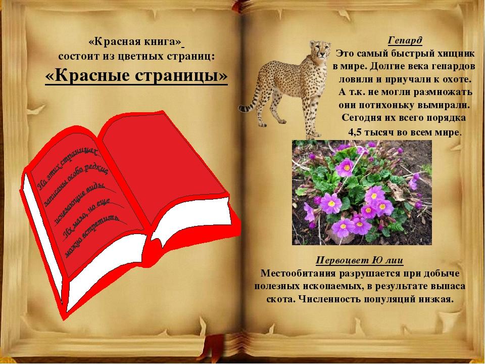 Красная книга россии проект для 4 класса по окружающему миру с картинками и с текстом