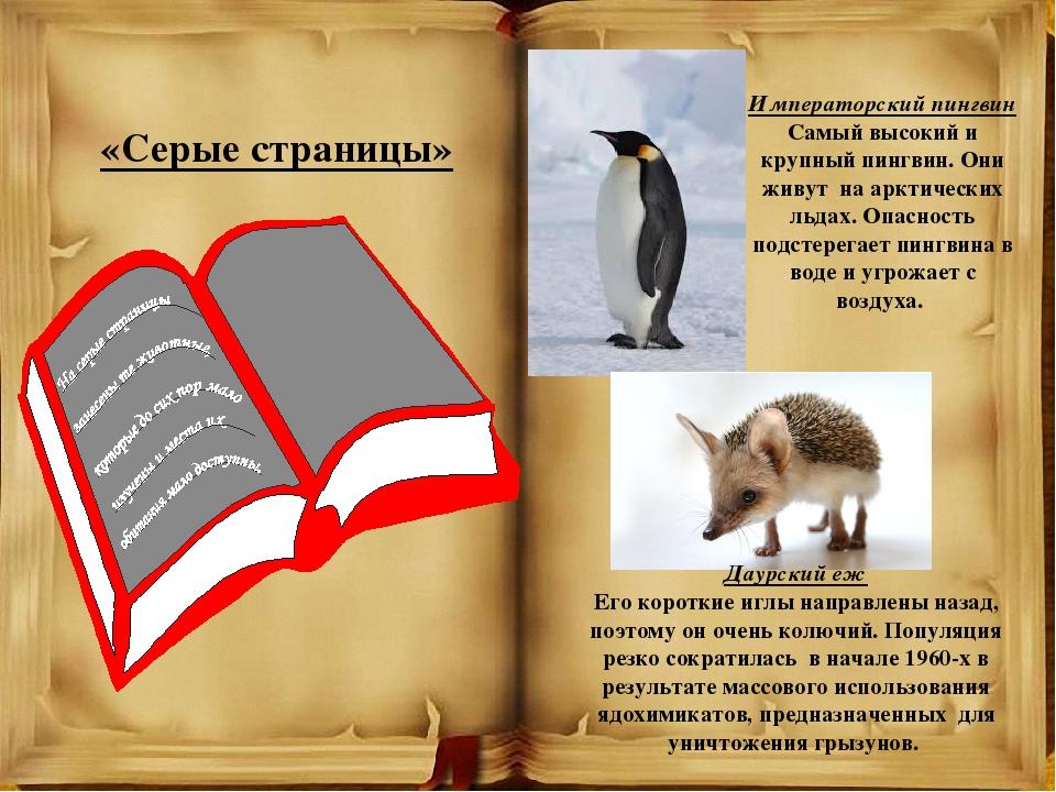 Презентация на тему красная книга россии 5 класс