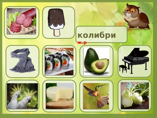 колибри  ж.р 