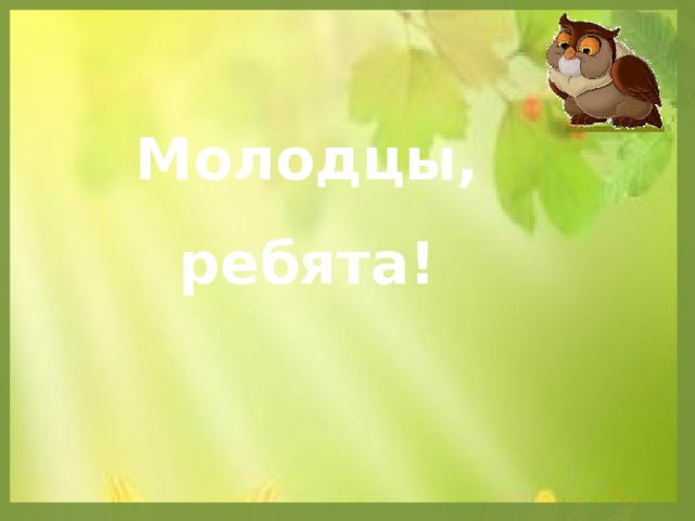 Молодцы, ребята! 